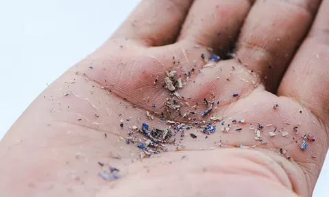 Top 2 loại củ quả ngậm đầy vi nhựa, nhiều người Việt vẫn vô tư ăn hàng ngày