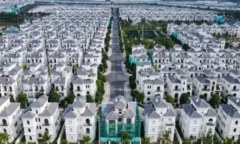 Vinhomes chuyển nhượng công ty con nắm dự án Vinhomes Ocean Park 3