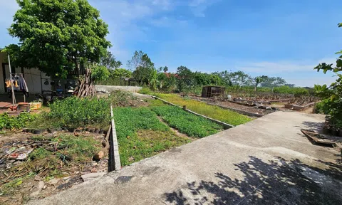 Giảm 70% thuế chuyển đổi đất vườn lên đất ở: Đúng nhưng chưa đủ