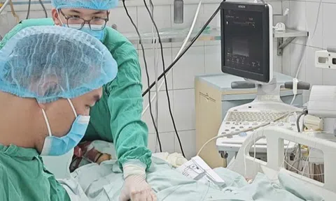 Nữ giáo viên nguy kịch sau bữa bún ngan