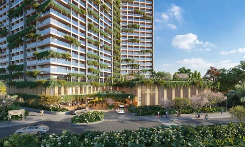 Dưỡng sinh hiện đại - khi công nghệ và y học tích hợp trong một căn hộ