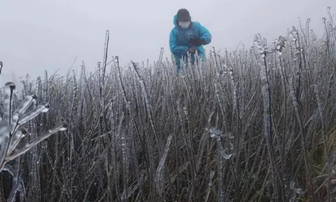 Sắp đón không khí lạnh "lạ thường" dồn dập, miền Bắc rét đến mức nào?
