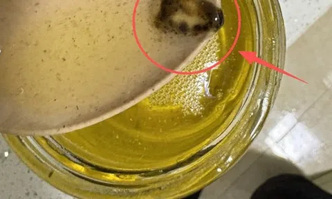 Có 5 thứ trong nhà "bị hỏng" trước hạn sử dụng! Xem để không đánh cược với sức khỏe gia đình bạn