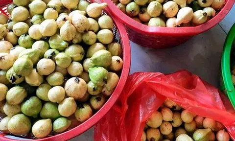 Quả quen mặt ở chợ Việt lọt top "chống oxy hóa tốt nhất thế giới", không mua phí của trời