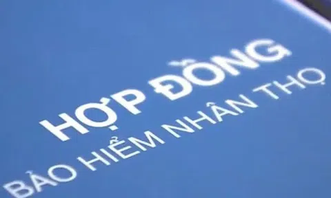 Từ 2026, tư vấn viên bảo hiểm nhân thọ hết được 'chạy 2 chân'