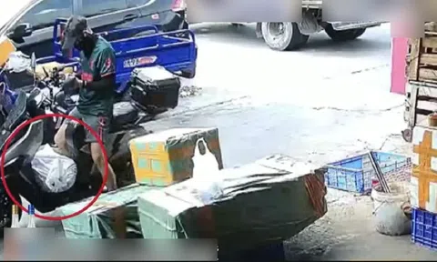 Nhận 97.000 đồng để giao... 1 con cá sấu, shipper gặp nguy khi đơn hàng bất ngờ sống dậy giữa đường đi