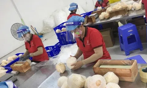 Thích ứng chính sách thuế của Mỹ vừa cấp bách, vừa lâu dài