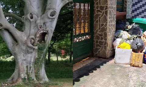 Trước nhà có 3 thứ này, làm ăn khó phất dù rất chăm chỉ