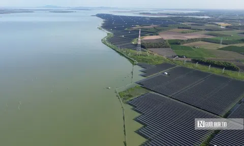 Hơn 1,3 triệu tấm pin tạo nên “rừng điện mặt trời” giữa hồ Dầu Tiếng