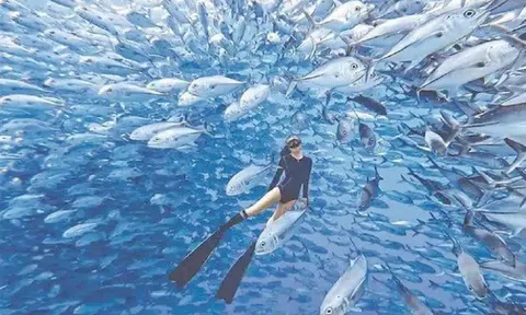 Nghề "hot": Đi làm như đi chơi kiếm hơn nửa tỷ đồng