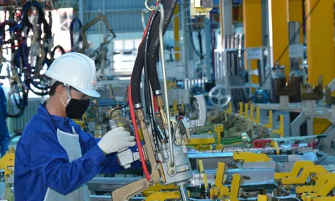 Hơn 300.000 doanh nghiệp thành lập mới và quay lại hoạt động trong năm 2025