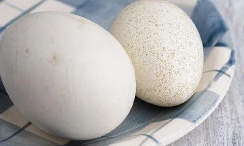 Trứng gà hay trứng vịt loại nào tốt hơn? Chuyên gia cảnh báo 3 loại này có hại nhất