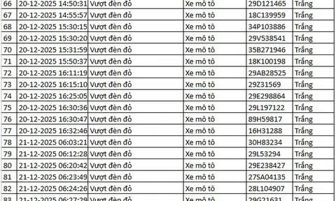 314 chủ xe máy, ô tô được phát hiện qua camera AI có biển số sau nhanh chóng nộp phạt nguội theo Nghị định 168