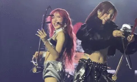 Tranh cãi Diệp Lâm Anh, Trang Pháp 'chơi đàn nhị như kéo cưa'