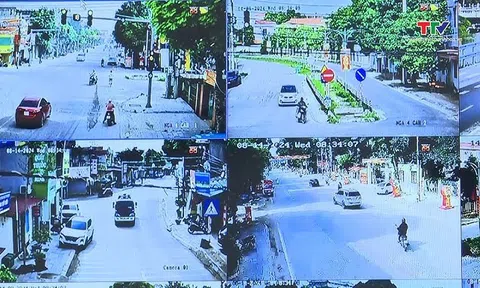 Các phương tiện mắc lỗi không thắt dây an toàn, dùng điện thoại nhanh chóng nộp phạt theo Nghị định 168