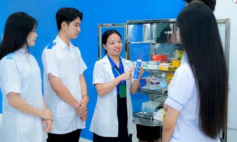 Ngành nào đang có lương cao nhất thị trường lao động hiện nay?