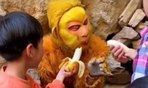 Nghề lạ: Đi làm như đi chơi, nhận lương hơn 20 triệu đồng/tháng