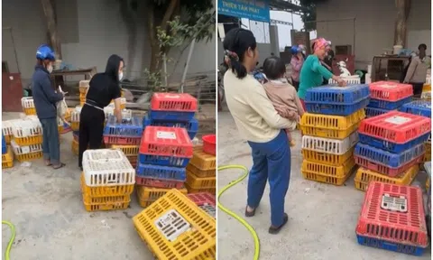 Người đàn ông Hà Nội đi mua 600 con vịt về phát cho người lạ mừng "Việt Nam vô địch": Phản ứng của vợ thế nào?