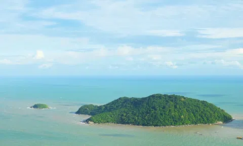 Cà Mau chuyển gần 10ha rừng phòng hộ để làm đường ra đảo Hòn Khoai