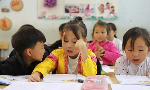 Sáp nhập trường công lẫn tư nếu không đạt chuẩn