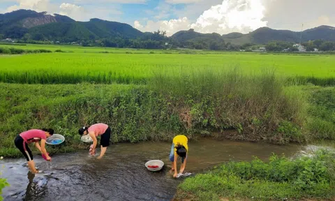 Nâng cao nhận thức và hành động cộng đồng về bảo tồn nguồn nước