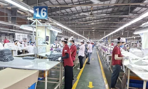 Doanh nghiệp FDI lâu đời nhất TPHCM sắp đóng cửa