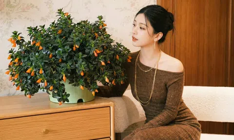 Trồng cây 'cá vàng' dịp cuối năm: Hoa nở như 'bơi' tiền vào két, xả xui cực tốt mà tôi trồng 6 năm vẫn mê