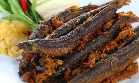 Loại cá được ví như "nhân sâm dưới nước": Vừa giàu canxi vừa giàu đạm, chợ Việt bán ê hề