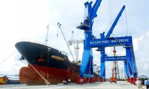 VietinBank thoái vốn công ty làm 'siêu' cảng Cần Giờ bất thành