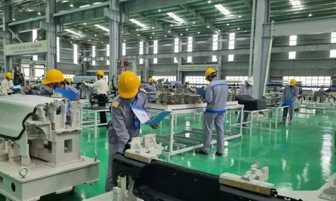 Nghỉ Tết Dương lịch 4 ngày, thưởng 140 triệu đồng/người