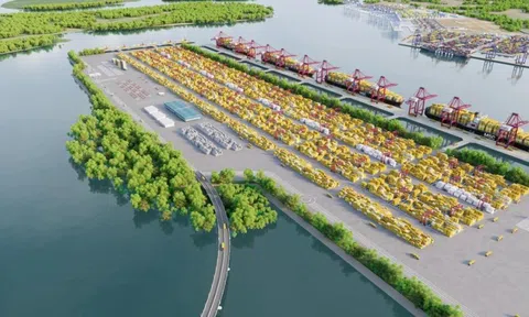 Cập nhật mới nhất về 'siêu' cảng quốc tế Cần Giờ