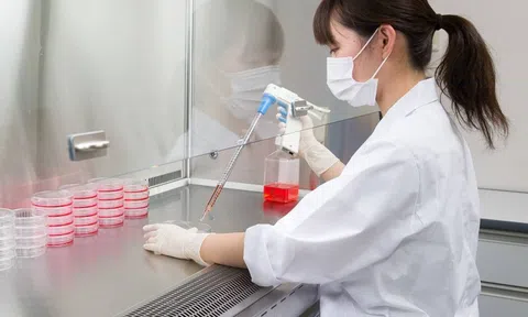 “Khoa học về Axit amin”: Tập đoàn Ajinomoto ‘lấn sân’ sang lĩnh vực chăm sóc sức khỏe