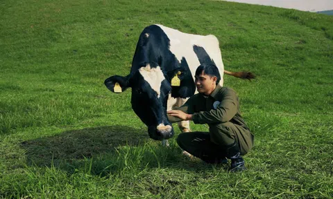 Mộc Châu Creamery: Kế thừa di sản để chuyển mình bền vững