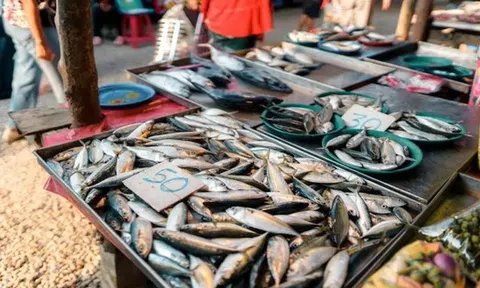 5 loại cá tự nhiên, không thể nuôi nhân tạo, thịt ngọt lại bổ như sâm