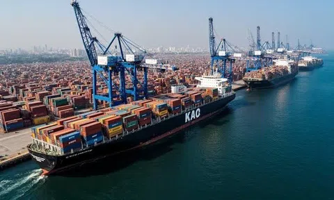 500 container "đặc sản" xuất khẩu Việt Nam đang bị tắc ở cảng nước bạn