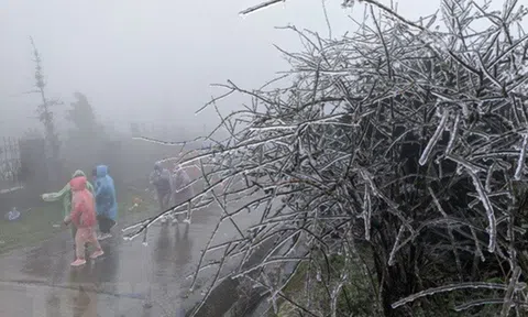 Miền Bắc đón không khí lạnh "lạ thường", có nơi xuống 8 độ C?