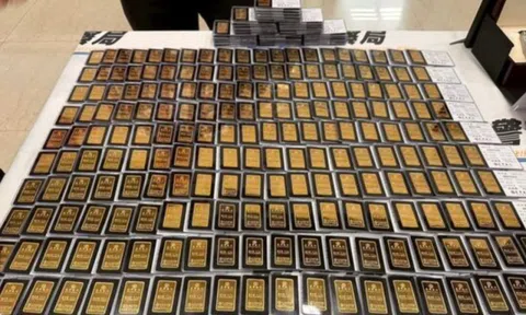 Gia đình “ăn vạ bảo hiểm” quái nhất: 12 năm bị thương 500 lần, lừa 14 công ty 23 tỷ đồng, đổi được 260 thỏi vàng và 7 căn nhà