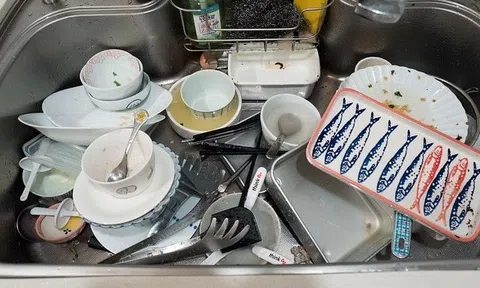 Cảnh báo khẩn cho những ai có thói quen để bát đĩa bẩn trong bồn rửa qua đêm