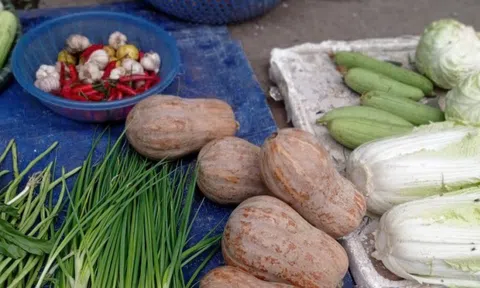 4 loại rau củ ít thuốc trừ sâu bậc nhất