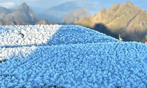 Miền Bắc đón đợt không khí lạnh mạnh, có nơi xuống 1 độ C, xuất hiện băng giá