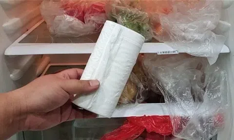 Người thông minh đặt 1 cuộn giấy vệ sinh vào tủ lạnh