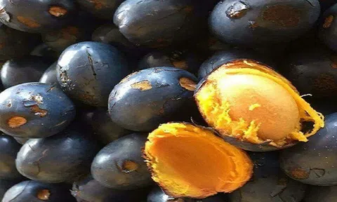 Loại quả xưa mọc hoang dại đầy đường, cho không ai lấy, giờ thành đặc sản "ăn là nhớ mãi", nườm nượp người mua