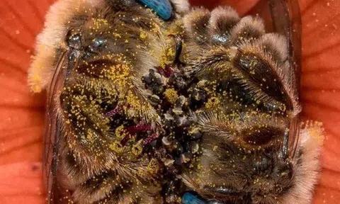 Thực phẩm duy nhất trên thế giới KHÔNG có ngày HẾT HẠN