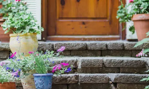 10 loại cây trồng trước nhà cực hợp: Hàng xóm nhìn thấy sẽ phải gọi điện ngay cho bạn