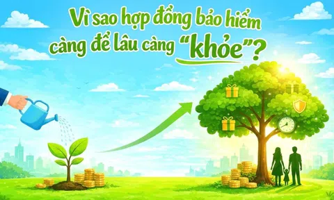 1 phút hiểu bảo hiểm: Vì sao hợp đồng bảo hiểm càng để lâu càng “khỏe”?