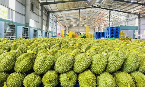 Nhìn lại một năm vươn xa của nông sản Việt