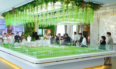 Giá căn hộ Long An cũ tăng gấp rưỡi, hơn hẳn TP.HCM, Bình Dương