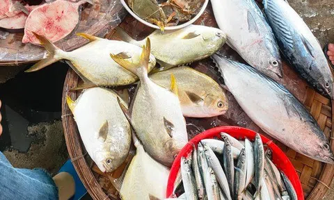 Người bán cá rất sợ bạn hỏi 5 câu này khi đi chợ