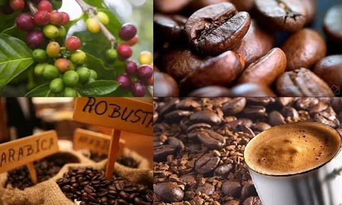 THỊ TRƯỜNG HÀNG HÓA: Dòng tiền quay lại, MXV-Index tăng hơn 1%