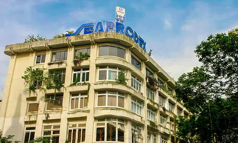 Nhóm Novaland thành cổ đông lớn công ty nắm 'đất vàng' TP.HCM